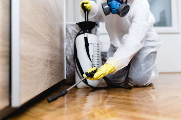 Best Residential Pest Control  in Novi, MI