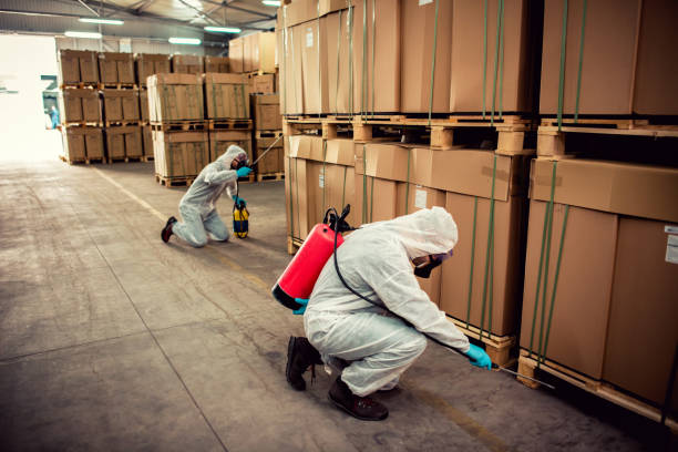Best Affordable Pest Control Services  in Novi, MI