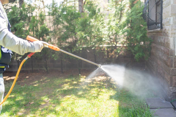 Best Ant Control Services  in Novi, MI