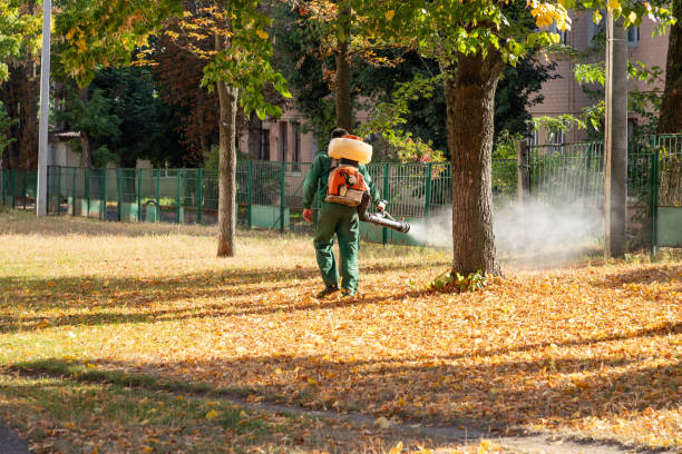 Best Affordable Pest Control Services  in Novi, MI