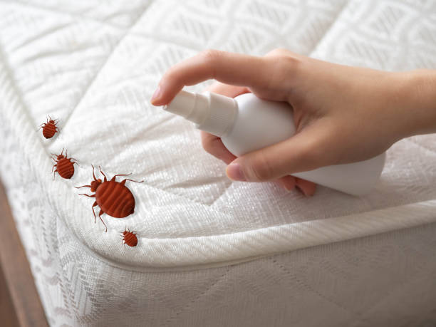 Best Commercial Pest Control Services  in Novi, MI