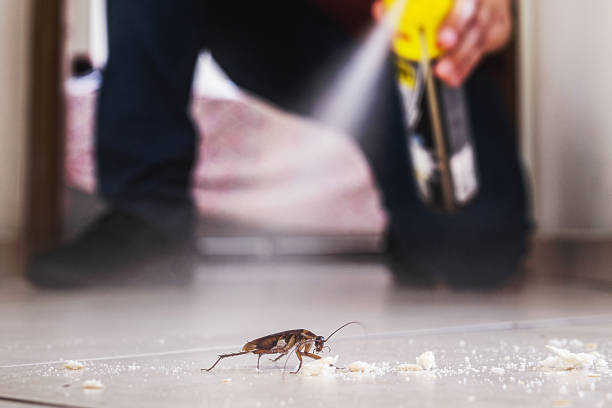 Best Pest Control for Homes  in Novi, MI