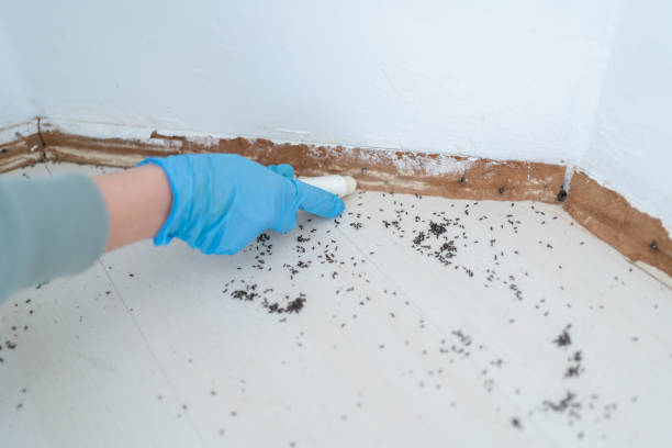 Best Pest Inspection Near Me  in Novi, MI