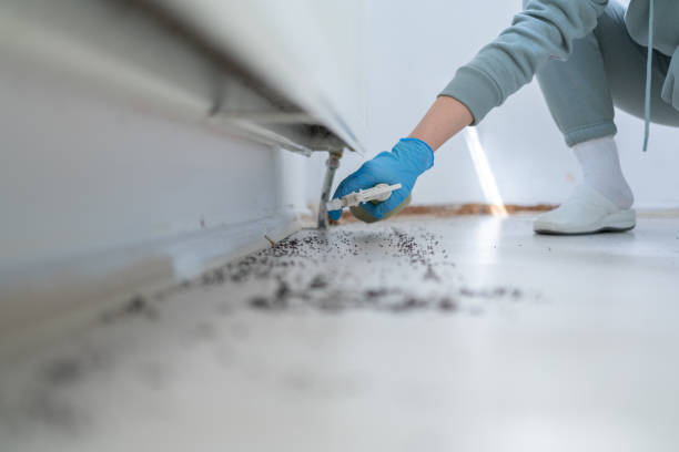 Best Residential Pest Control  in Novi, MI